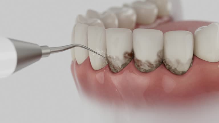 Reliable Dental contractor in Markham, IL by Dentist Open Now